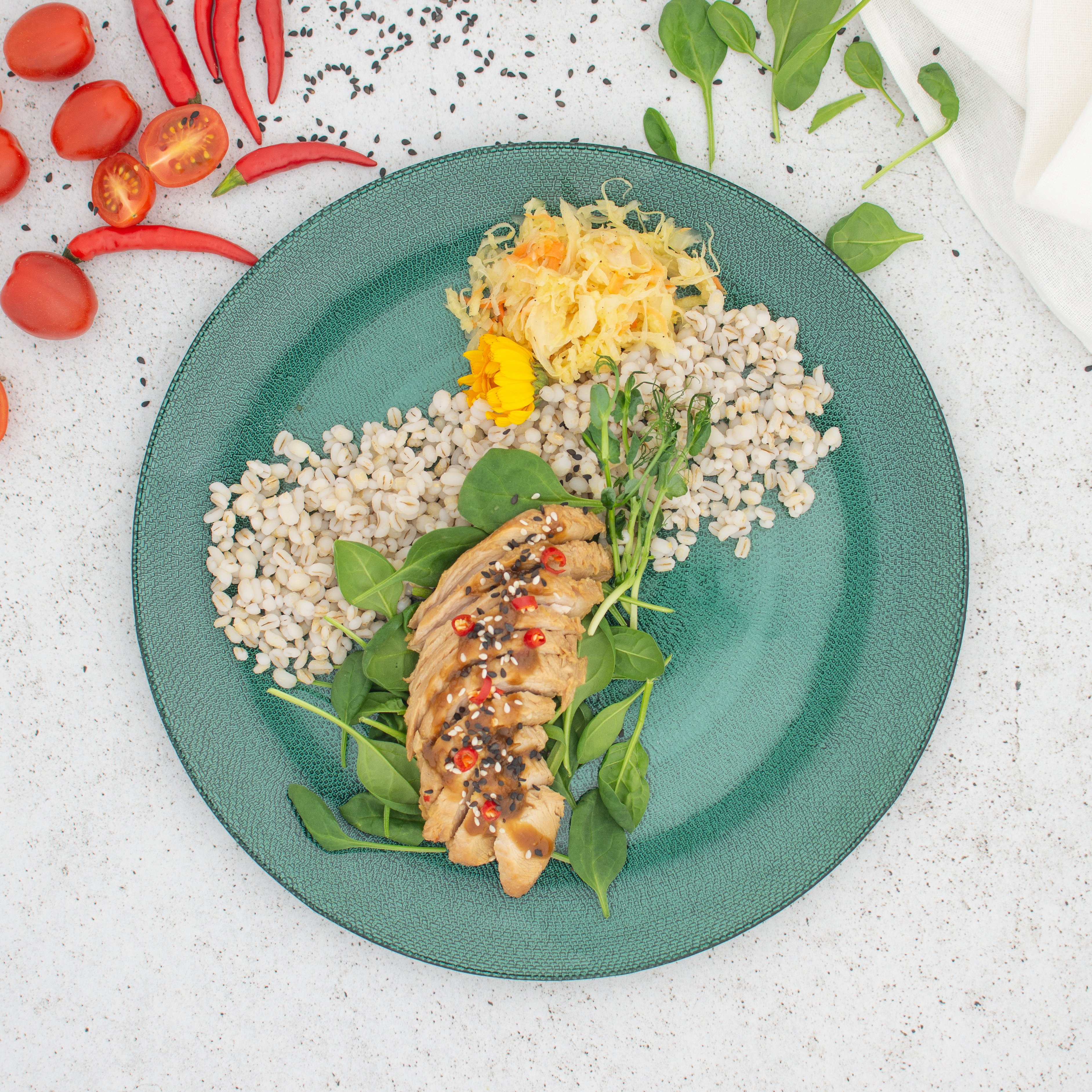 7.3. Výběr Menu Vysokobílkovinná dieta