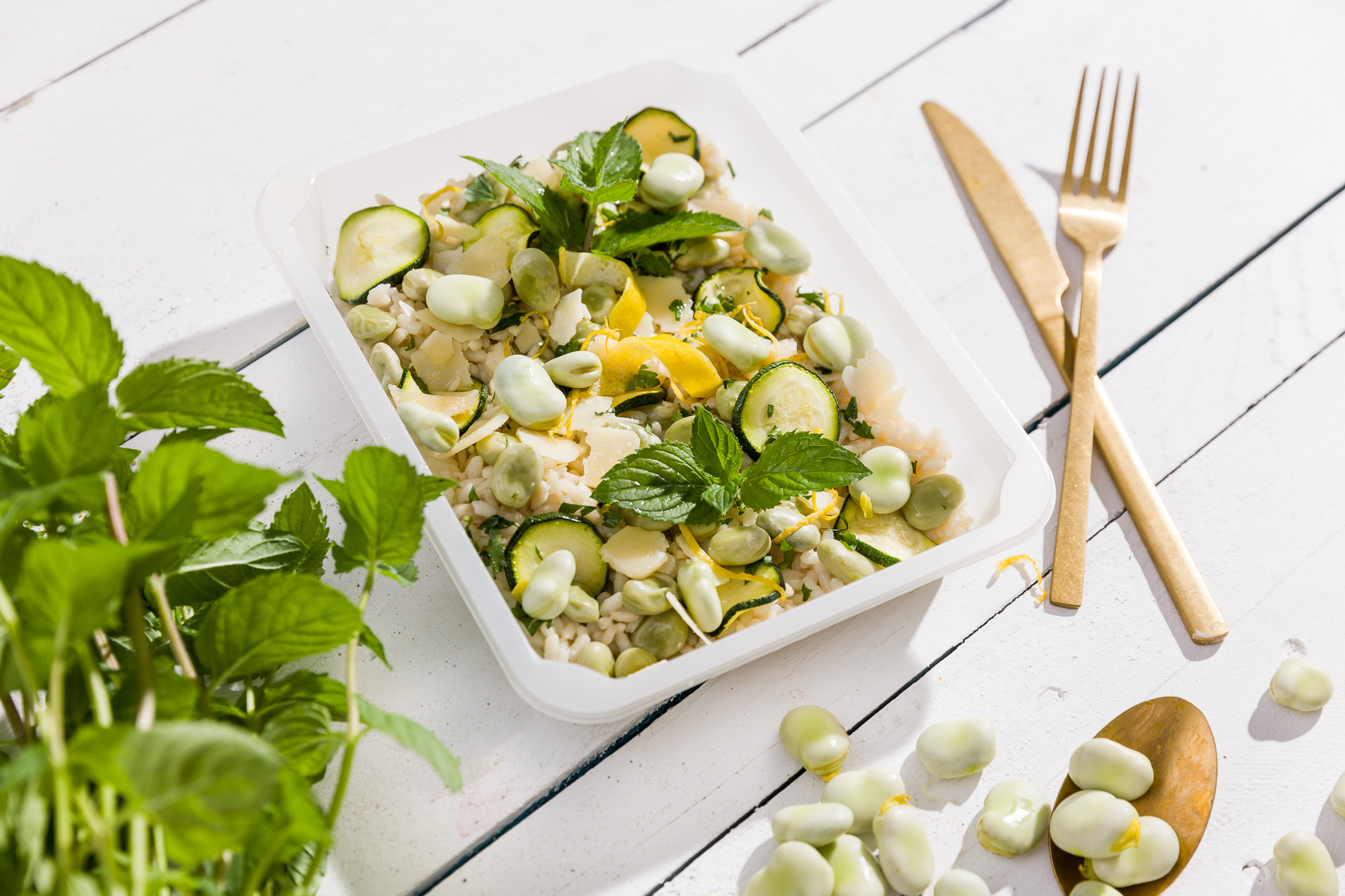 VEGETARIÁNSKÁ STRAVA S RYBAMI A MOŘSKÝMI PLODY